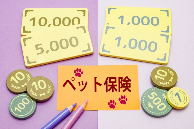 ペット保険って本当に加入すべき？実際に使った人のリアルな体験談をご紹介