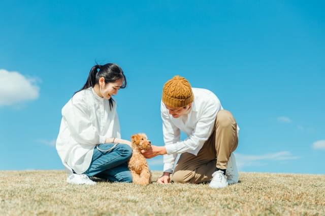 犬はなぜ人間の最高のパートナーなのか？科学的な視点からメカニズムを解説