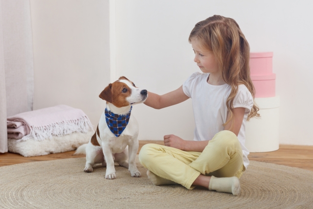 愛犬に優しい室内環境づくりのコツとは？室内犬と暮らすうえで大切なこと