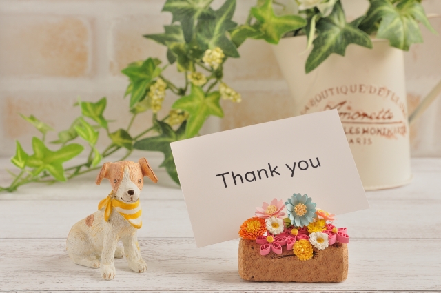 犬の日はなぜ11月1日なの？日付の由来やその日に込められた想いをご紹介